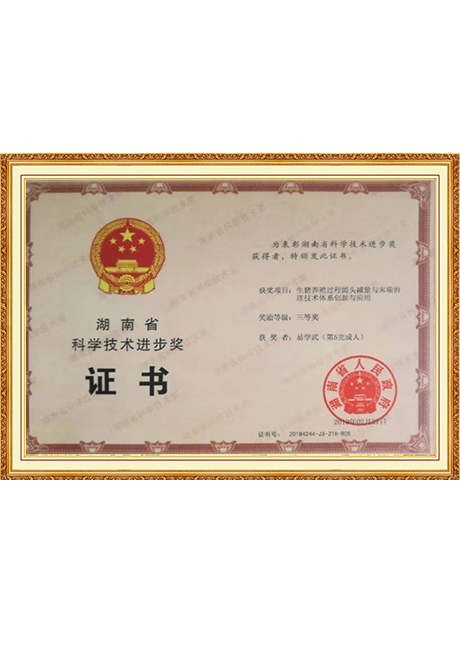 Certificate Of Honor